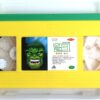 The Incredible Hulk Animation Series 2x Korean VHS [NTSC] Korea Dub Marvel