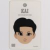 Exo Figure Key Ring Kai Photocard