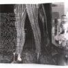 Goo Goo Dolls - A Boy Named Goo Korean Cassette Tape Korea