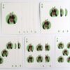 10-7704.jpg GFRIEND 2020 Season's Greetings Halli Galli Game Playing Cards Set