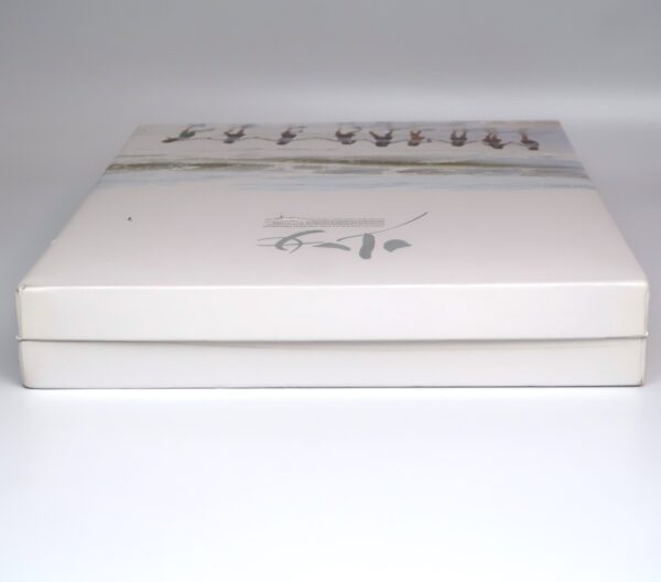 Girls' Generation - The First Photobook In Tokyo DVD 2010 K-Pop
