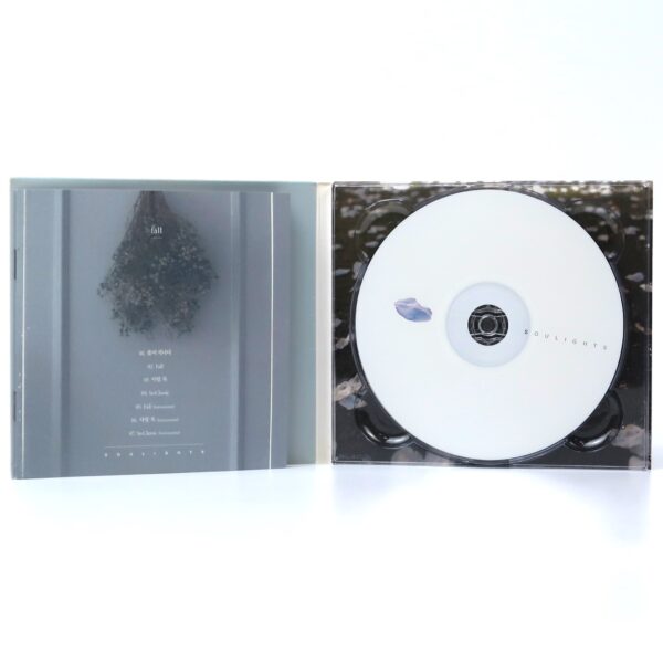 Soulights - Fall Signed Autographed CD Album Promo K-Pop 2015