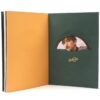 Eric Nam - Honestly CD Album No Photocard K-Pop 2018