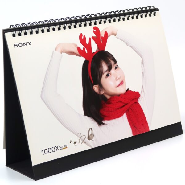 IU x Sony 2018 Calendar K-Pop Official Promo Goods