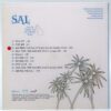 IMG_2373 Sal - Days Of Tequila And Well-Marbled Sirloin Album CD Promo K-Pop 2011 Korea