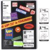 Momoland - Thumbs Up CD Single Album Ahin & Jane PCs Promo K-Pop 2019