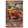 Frog-g-g! (2004) Korean Late VHS [NTSC] Korea Cult Monster Comedy B-Movie