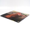 True Lies (1994) Korean Laserdisc LD Korea Arnold Schwarzenegger [wear]