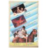 Wild Horse (1982) Korean VHS Rental [NTSC] Korea Revenge Movie 야생마