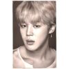BTS Wings Tour The Final Premium Photo Jimin