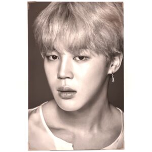BTS Wings Tour The Final Premium Photo Jimin