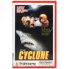 Terror Storm (1978) Cyclone Korean VHS [NTSC] Korea Shark Arthur Kennedy
