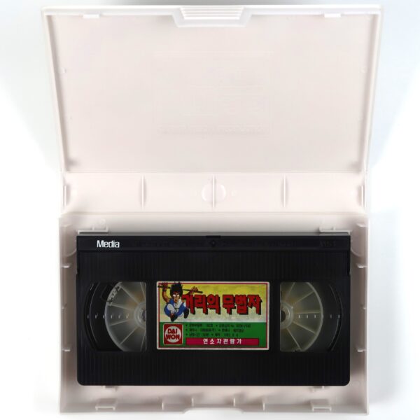 Street Fighter (1992) Korean VHS [NTSC] Korea Daiwan Animation Rare