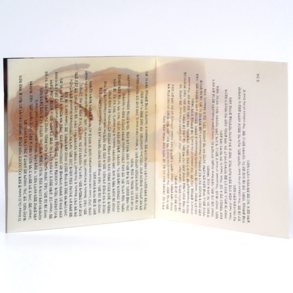 Celine Dion - Falling Into You Special Asian Tour Package Korean CD Album Korea