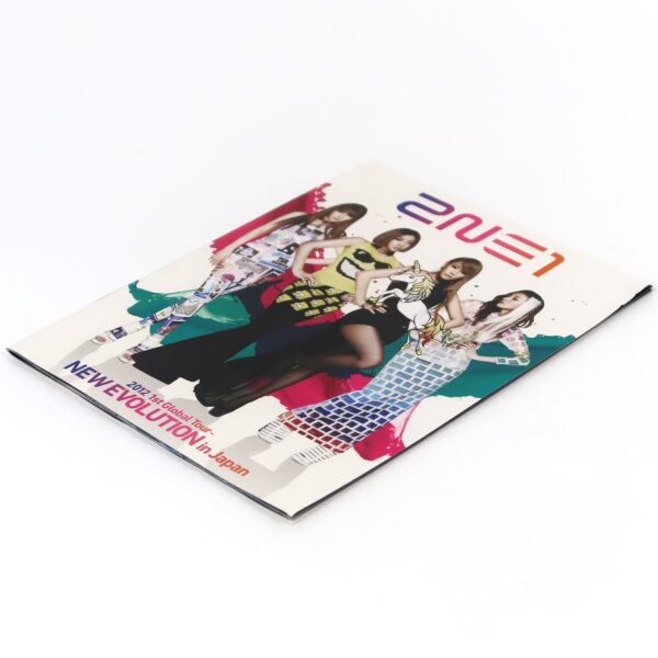 IMG_4519 2NE1 - 2012 1st Global Tour New Evolution In Japan DVD K-Pop