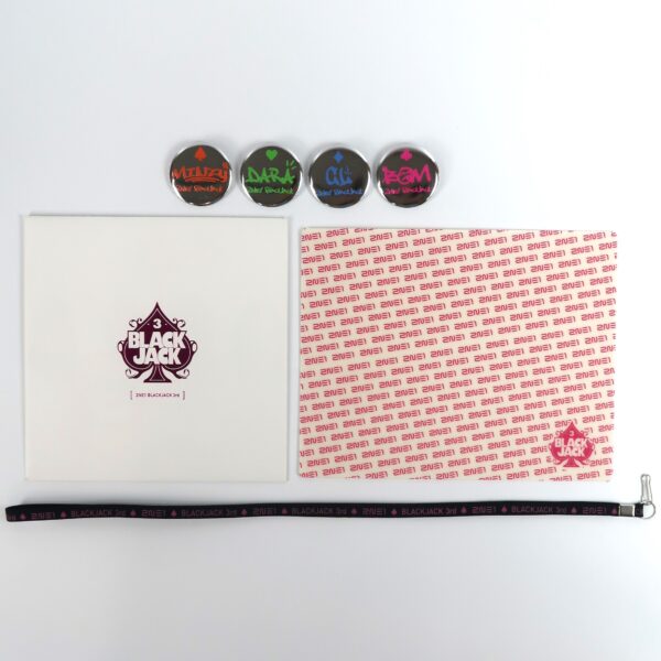 2NE1 3rd Blackjack Fanclub Set Mousepad Button Pin