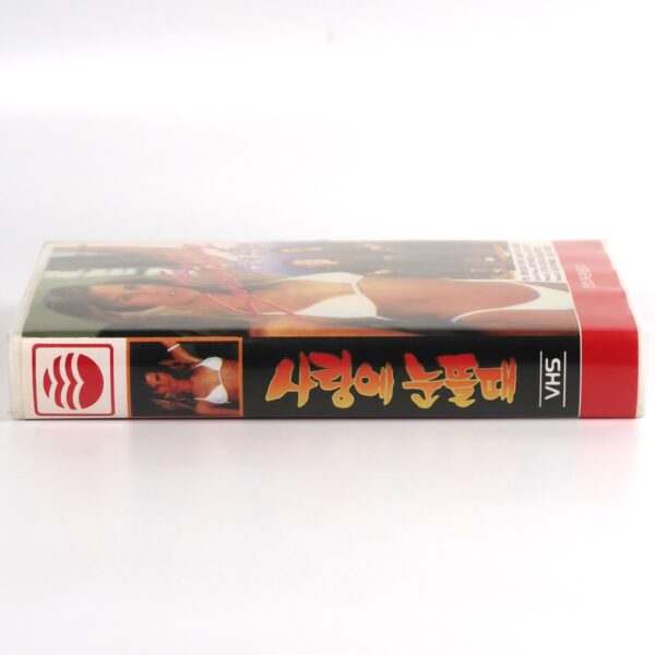 The Sure Thing (1985) Korean VHS Rental [NTSC] Korea John Cusack Daphne Zuniga