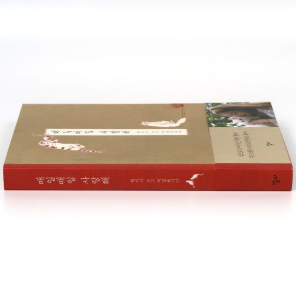IMG_5881 Moon Hyuna - I Love You Every Day Book Softcover 2013 Nine Muses