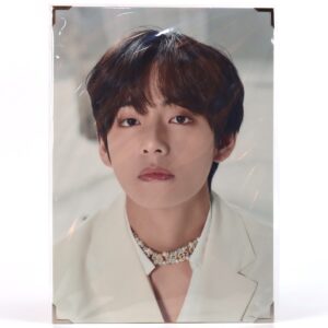 BTS V Taehyung Premium Photo Map Of The Soul Tour 2020