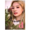 Twice Dicon You Only Live Once Dahyun Picture Post Card Set Complete D'Icon