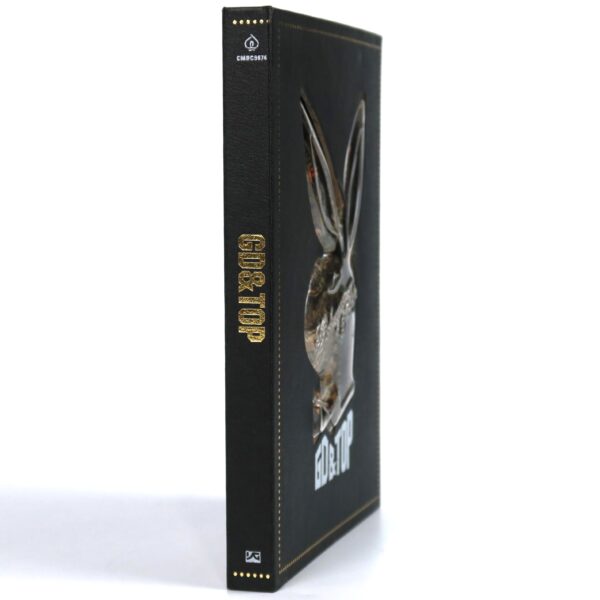 BIGBANG GD&TOP FIRST ALBUM ゴールドverYGカード付 BIGBANG GD&TOP First Album Gold Ver. CD + Photobook K-POP G-Dragon