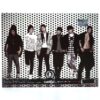 Dalmatian - 1st Mini Album CD Promo K-Pop 2011 DMTN