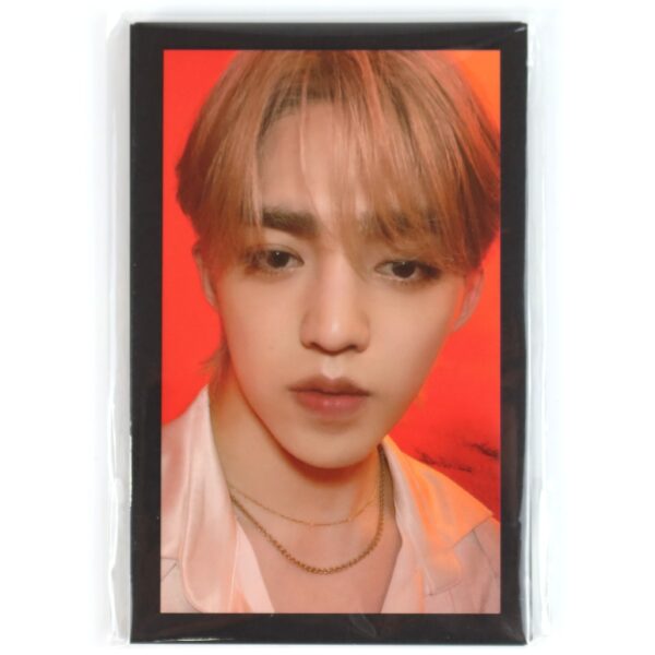 Seventeen World Tour Be The Sun Photocard Set from Zip Up Hoodie