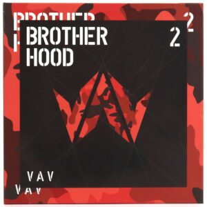 VAV - Brotherhood 2nd Mini Album Pt. 1 CD K-Pop 2016 [damage, read]