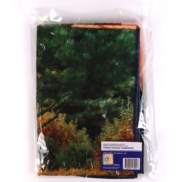 The Boyz Younghoon Fabric Poster 5th Anniversary The Azit Official MD 2022