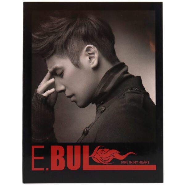 E.Bul - Fire In My Heart Album CD Promo K-Pop 2009 Oppa