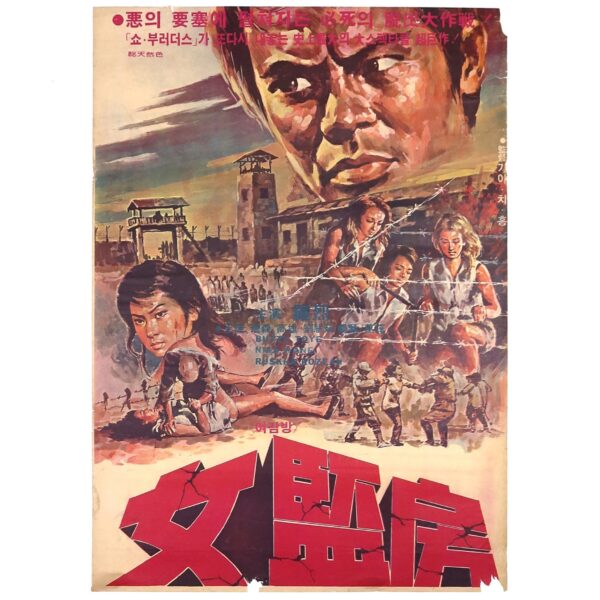 Women's Cell (1973) Vintage Original Korean Movie Poster Korea Hong Kong 여감방