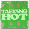 Bigbang - 2008 Global Warning Tour Taeyang 1st Live Concert DVD Sealed Green