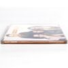 The Corrs - Rainy Day Korean Single Album CD Korea