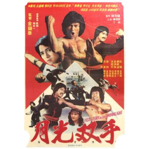 Two Fighters in Moonlight (1981) Korean Movie Poster Korea Dragon Lee 월광쌍수