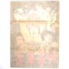 Fighter With Miraculous Martial Arts (1978) Korean Movie Poster Korea 신권비객 2