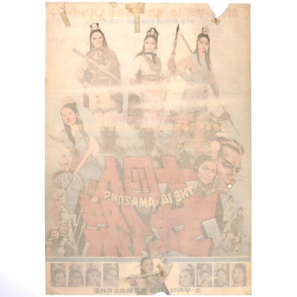 The 14 Amazons (1973) Vintage Korean Movie Poster Hong Kong 十四女英豪
