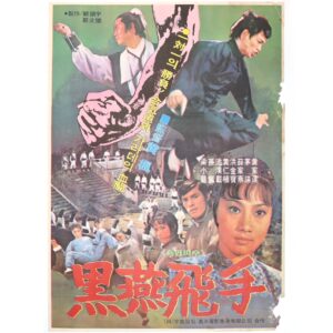 Lady Kung Fu (1973) Vintage Korean Movie Poster Korea Hong Kong Angela Mao