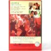 Dirty Dancing (1987) Korean VHS [NTSC] Korea Patrick Swayze