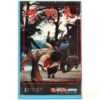 Yosa Martial Arts (1980) Korea Early VHS [NTSC] Korean Cinema 요사권 Wang Ryong