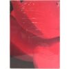 (G)I-DLE - I Burn [Flower Ver.] 4th Mini Album Sealed CD Gidle 2021