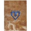 Bigbang - Alive [Group Ver.] Album CD + YG Family Card 2012 [rust]