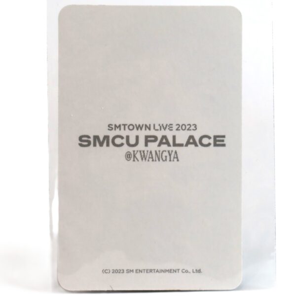 Girls' Generation SMTOWN Live 2023 SMCU Palace @ Kwangya Taeyeon Photocard