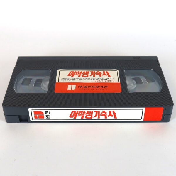 The Stay Awake (1988) Korean VHS Rental [NTSC] Korea South Africa Horror