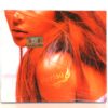 Harisu - Foxy Lady 3rd Album Sealed CD K-Pop 2004