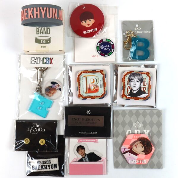 Exo - Baekhyun 12 x SM Official Goods Set Badge Keyring Wristband Etc