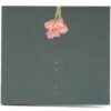 Lee Woo - Eternity Mini Album CD Promo 2019 K-Pop JellyFish
