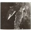 Exo - Sing For You Winter Album [Korean Baekhyun Ver.] CD No Photocard 2015