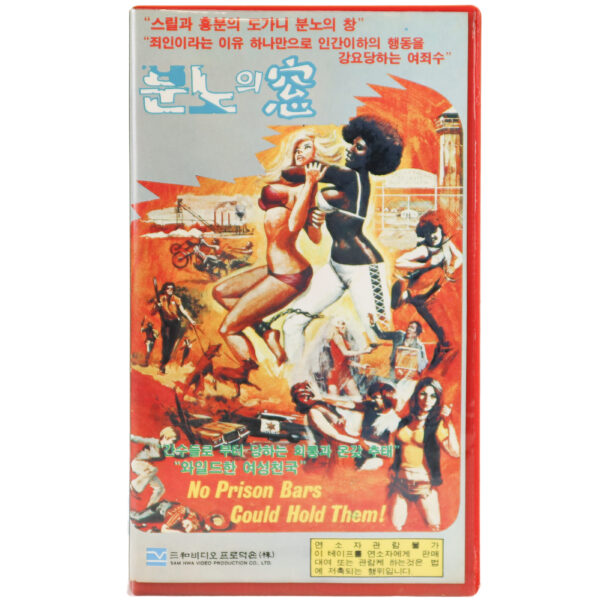 Caged Heat (1977) Korean VHS Rental [NTSC] Korea Women In Prison