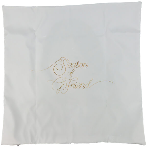 GFriend 2018 First Concert Season Of GFriend Concert Goods: Yerin Cushion Cover