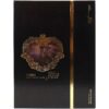 IMG_8808 Vixx - 2016 Conception Ker Special Package Zelos Hades Kratos DVD CD Album Set
